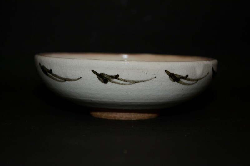 �G���Ì��t�@���R�q ��㓌��