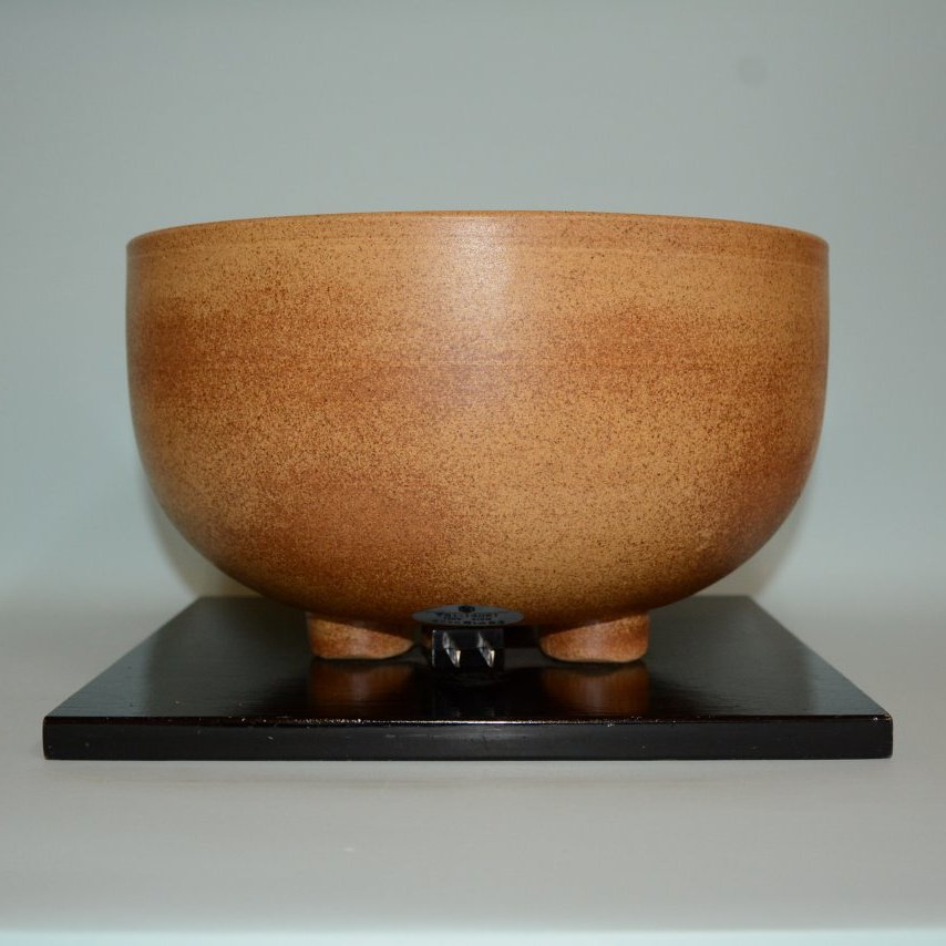 �M�y���g����X�c��