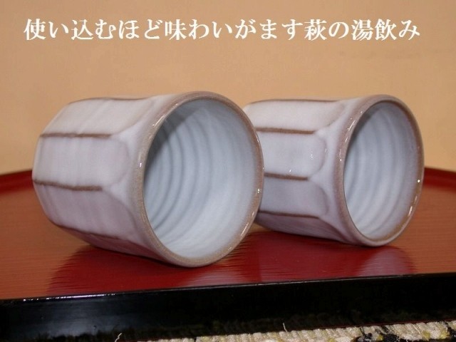 �����ʎ��v�w����