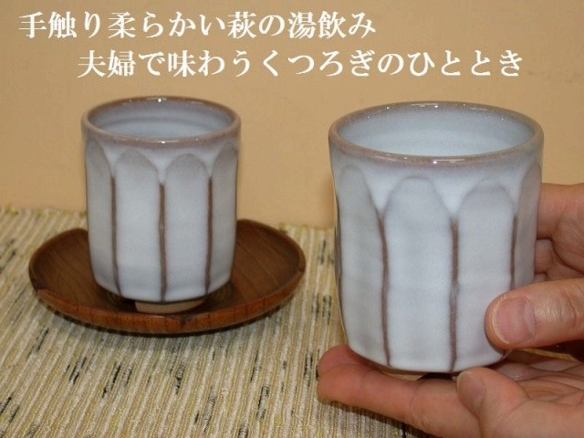 �����ʎ��v�w����