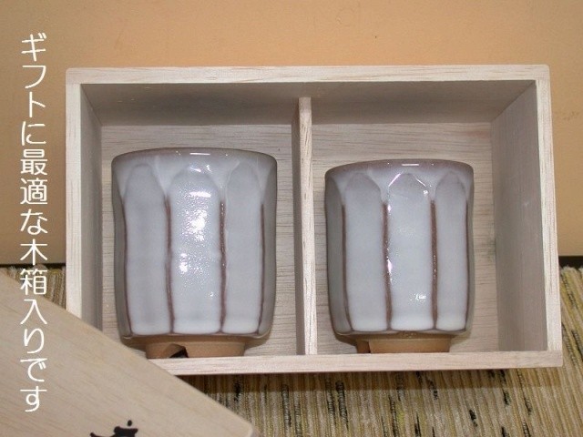 �����ʎ��v�w����