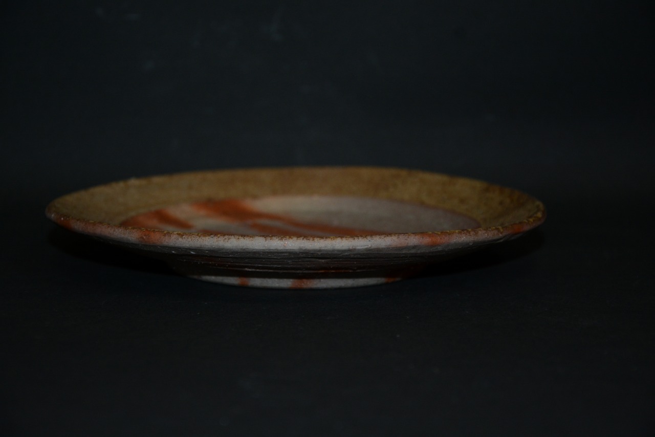 ���O�ێM�@��F�v