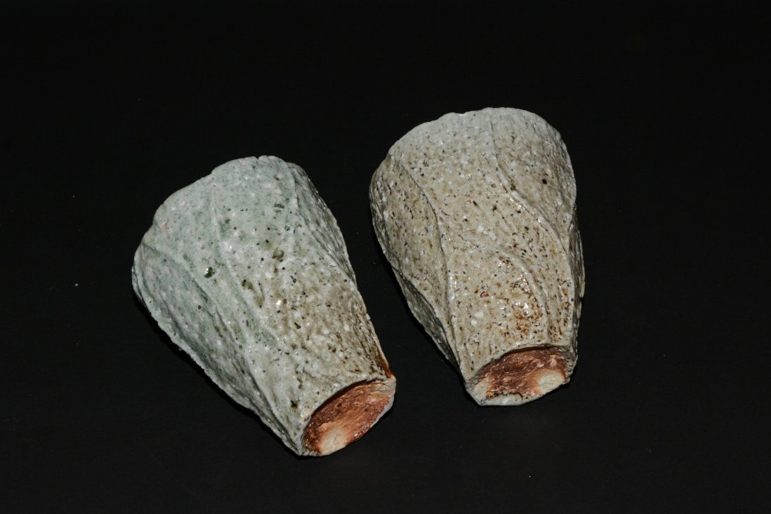 ���M�y�t���M�J�b�v