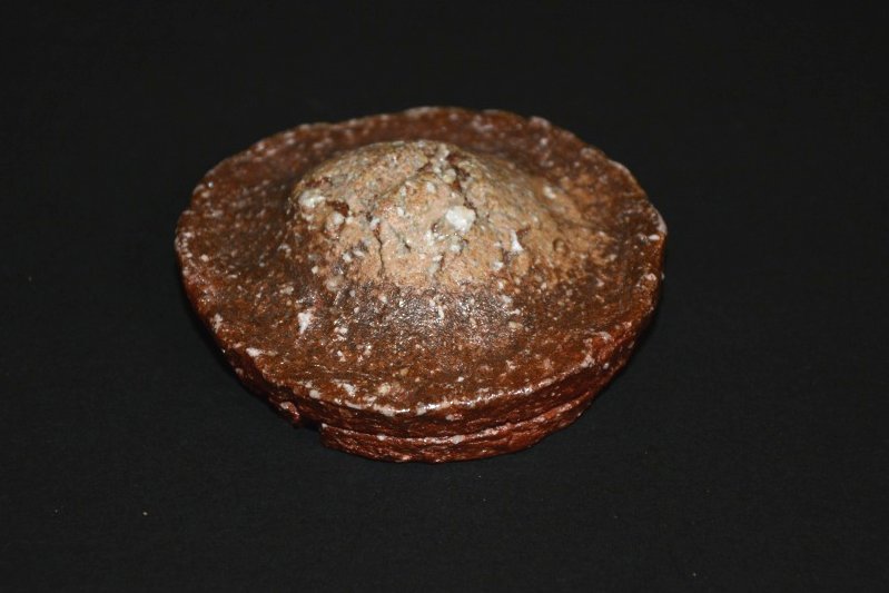 �M�y�Ҋ}�����@�����y��