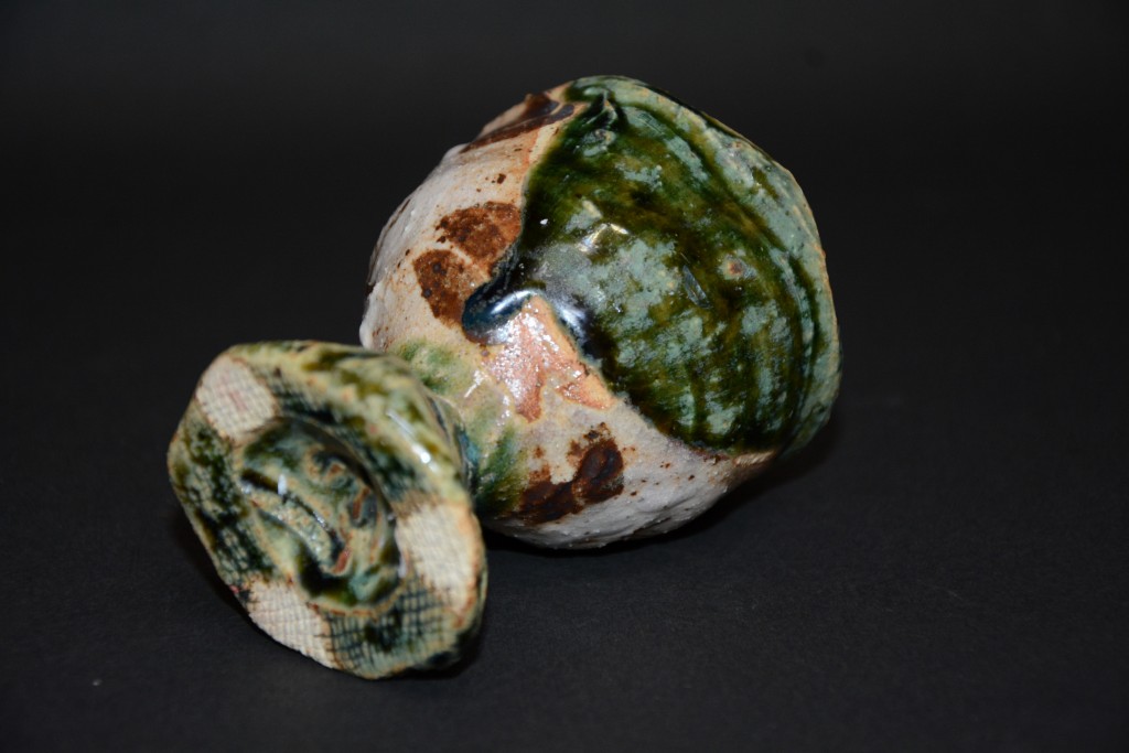 �D���X�X�L���S�u���b�g