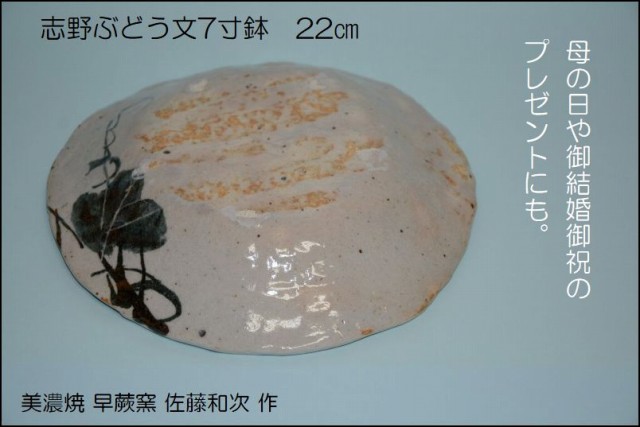 鼠志野ぶどう文7寸鉢